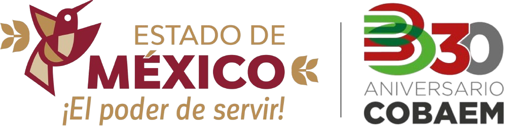 Colegio de Bachilleres del Estado de México